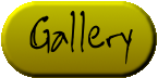 Enter The Gallery
